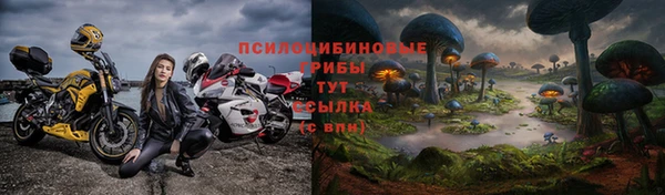 mdpv Алзамай